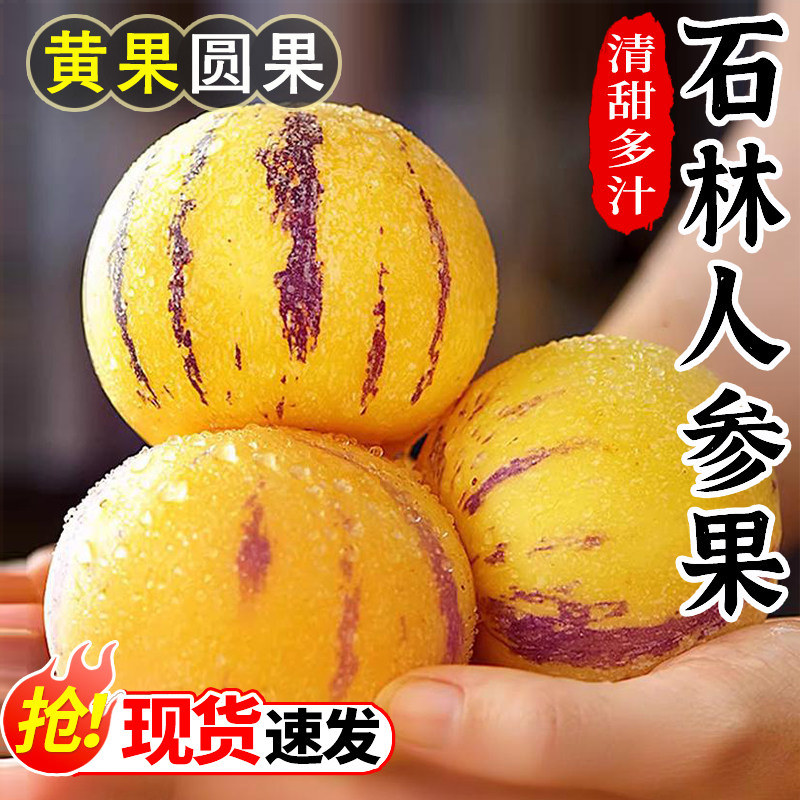 云南石林人参果圆果黄心水果新鲜大果正宗人叁果黄肉人生果大果,水产肉类/新鲜蔬果/熟食,人参果,淘宝优惠券,粉丝福利购,淘宝优惠卷