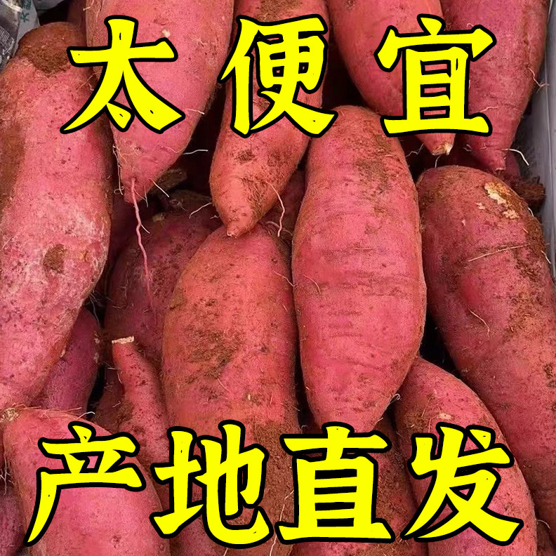 新鲜蜜薯9斤板栗红薯沙地糖心地瓜农家自种番薯现挖红心香薯山芋