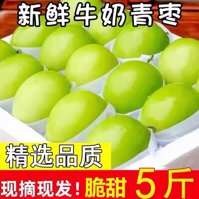 牛奶大青枣新鲜枣子10斤当季水果现摘脆甜苹果枣蜜枣贵妃冬枣包邮