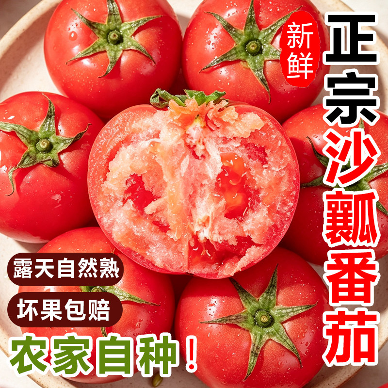 四川攀枝花自然熟沙瓤番茄农家种植水果生吃沙瓤西红柿新鲜蔬菜
