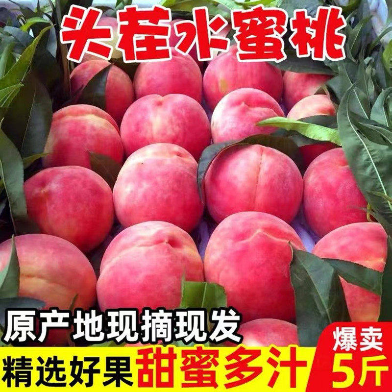 现摘现发新鲜桃子水蜜桃10当季时令农家水果脆甜毛桃整箱5斤包邮3