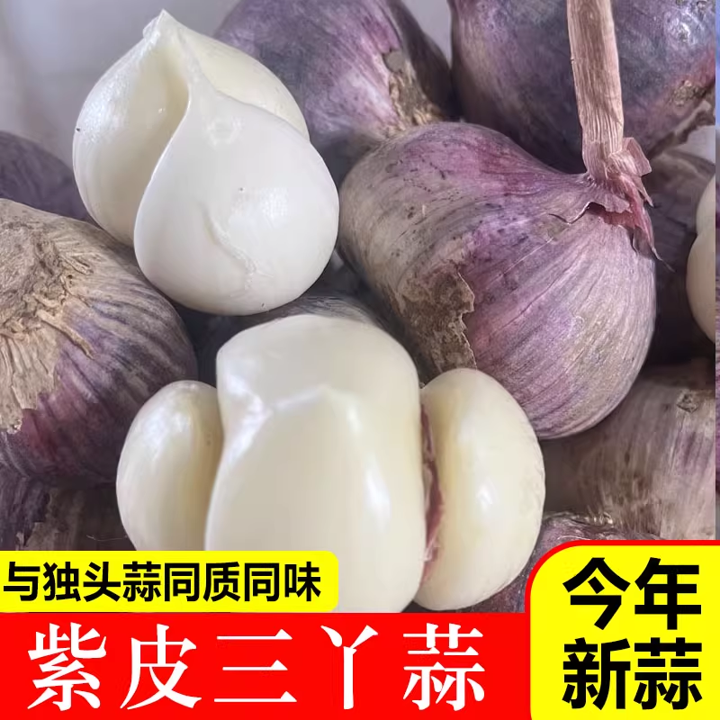 2026新三丫蒜农家紫皮三丫蒜三瓣蒜晒干大蒜头独头蒜同味新鲜蔬菜