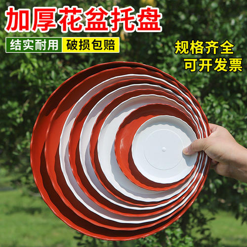 蓝莓花盆托盘加厚塑料花盘底盘垫接水盘花盆垫底圆形底托花盆底座