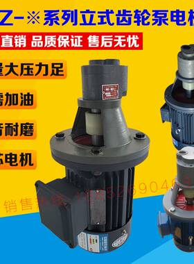 新款LBZ-10/6/4/16/25/40/63/100/125/160立式齿轮油泵电机组CB-B