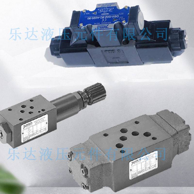 新款DSV-G02-2/6/8/0/31/7/4/33C/CL/A/N/B/CS-AC110-20/82七洋7O