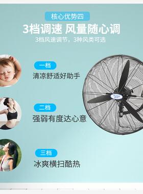 新款普风系列650MM750MM强力工业挂墙壁扇落地风扇DF650-TDF7包邮