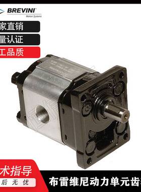 新款布雷维尼Brevini齿轮泵OT100P11 D/G18 OT200P04 S/R OT300液