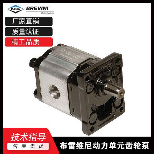 新款布雷维尼Brevini齿轮泵OT100P11 D/G18 OT200P04 S/R OT300液