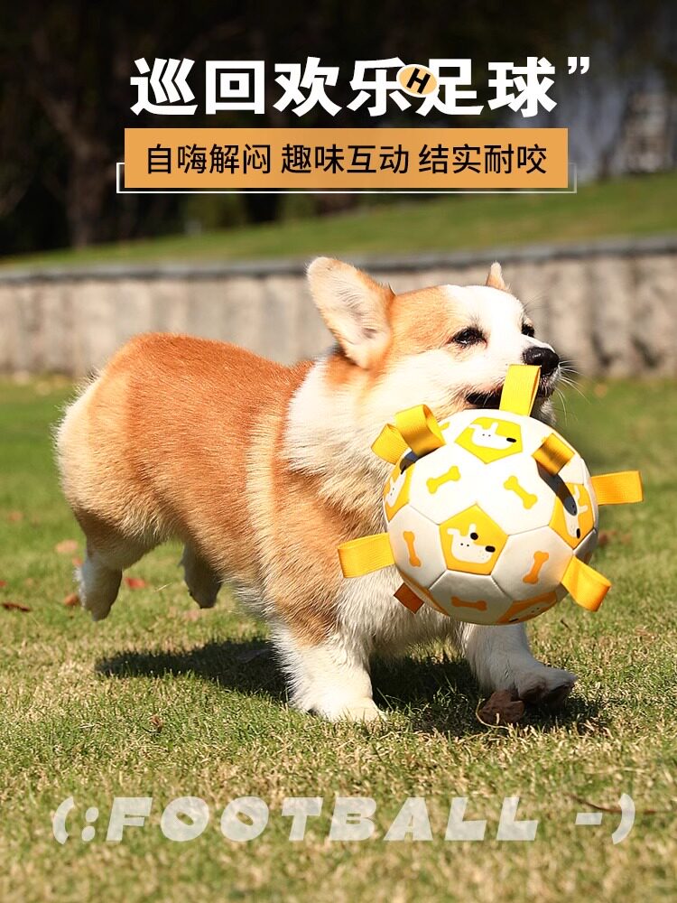 狗狗足球玩具耐咬磨牙边牧玩具训练专用狗球宠物自嗨解闷神器用品