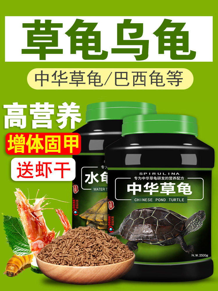 龟食龟食中国龟食龟食龟食巴西龟一般特殊食物墨龟