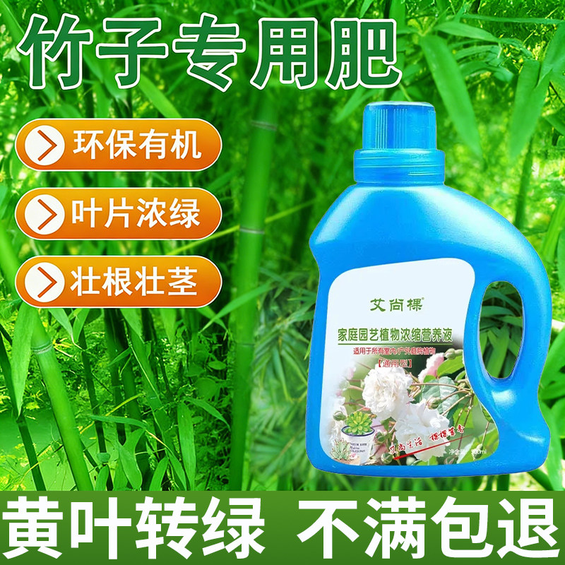 竹子专用营养液养竹子类内门竹叶子发黄小叶簕竹盆栽毛竹勒竹肥