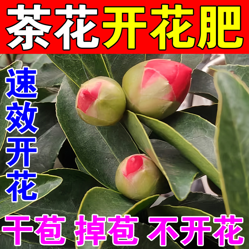 茶花专用肥促花养花盆栽盆景