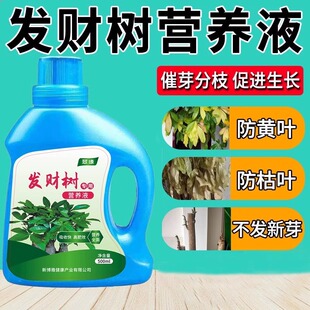 发财树叶斑病专用杀菌剂叶子发黄枯掉叶烂根营养液肥料专用肥