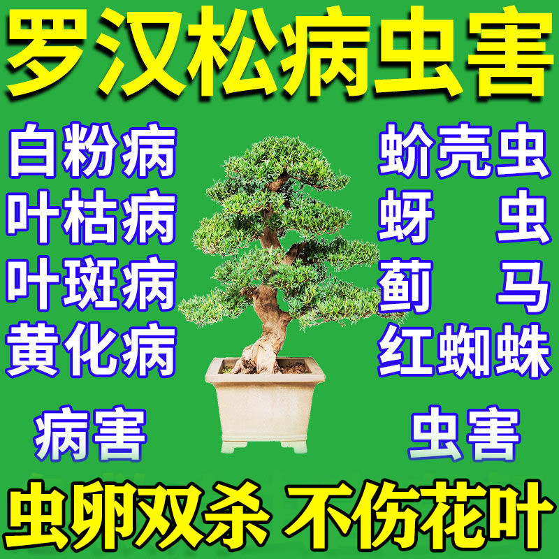罗汉松杀虫剂花卉植物室内外盆栽园艺防蚜虫白粉虱病害通用除虫剂