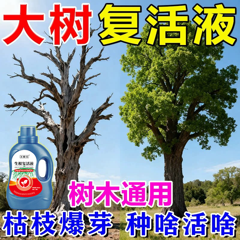 大树复活液强力成活再生