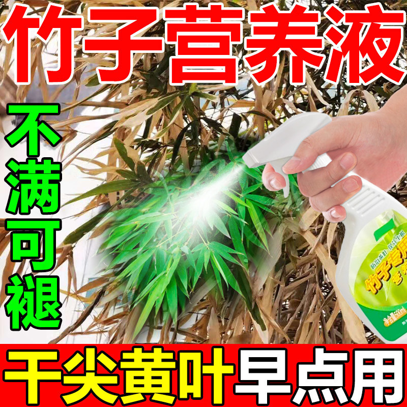 竹子专用营养液竹子专用肥料急救
