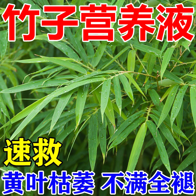 竹子专用营养液竹子专用肥料急救叶子发黄烂根竹子黄叶营养液