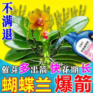 蝴蝶兰促花剑营养液速效开花爆花生根专用多箭素叶面肥植物活力素