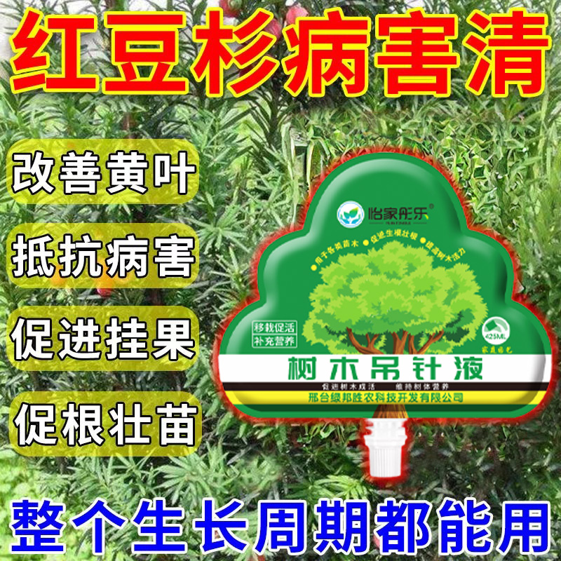 红豆杉营养液防黄叶促根壮苗