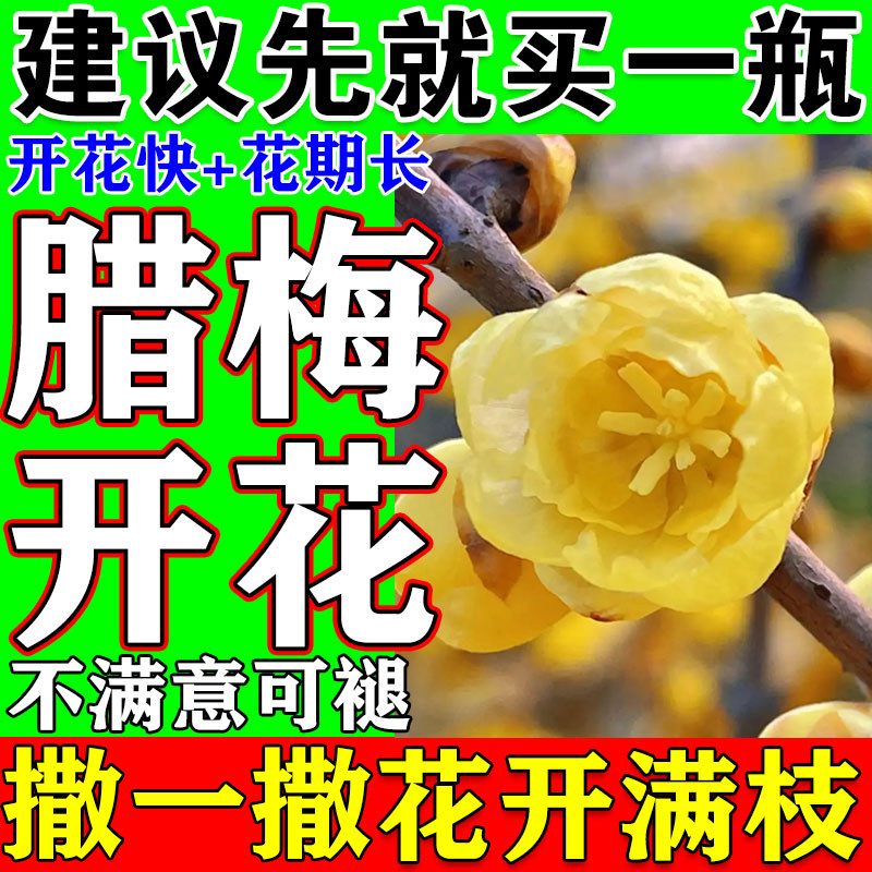 腊梅专用肥料冬季室内外植物促开花剂花期长开花快家庭园艺专用肥,鲜花速递/花卉仿真/绿植园艺,家庭园艺肥料,淘宝优惠券,粉丝福利购,淘宝优惠卷