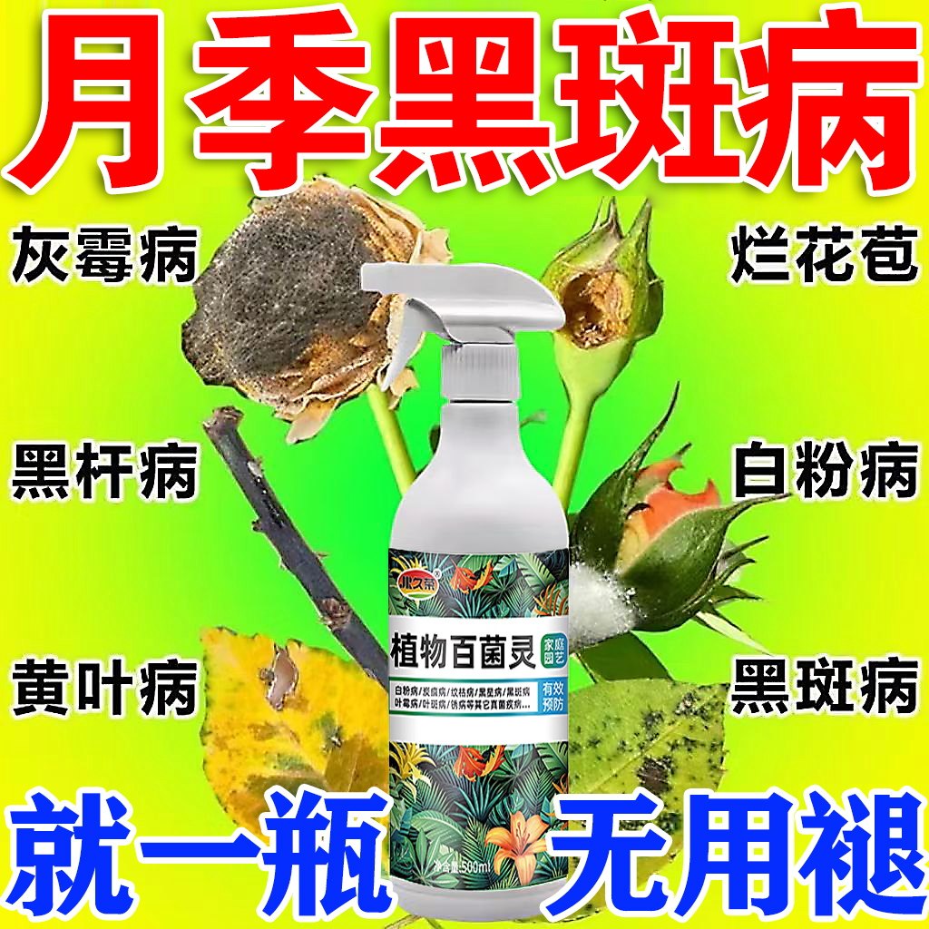 月季花黄叶黑斑病专用病虫害常用辅助白粉枯枝叶枯杀菌剂肥料,鲜花速递/花卉仿真/绿植园艺,家庭园艺肥料,淘宝优惠券,粉丝福利购,淘宝优惠卷