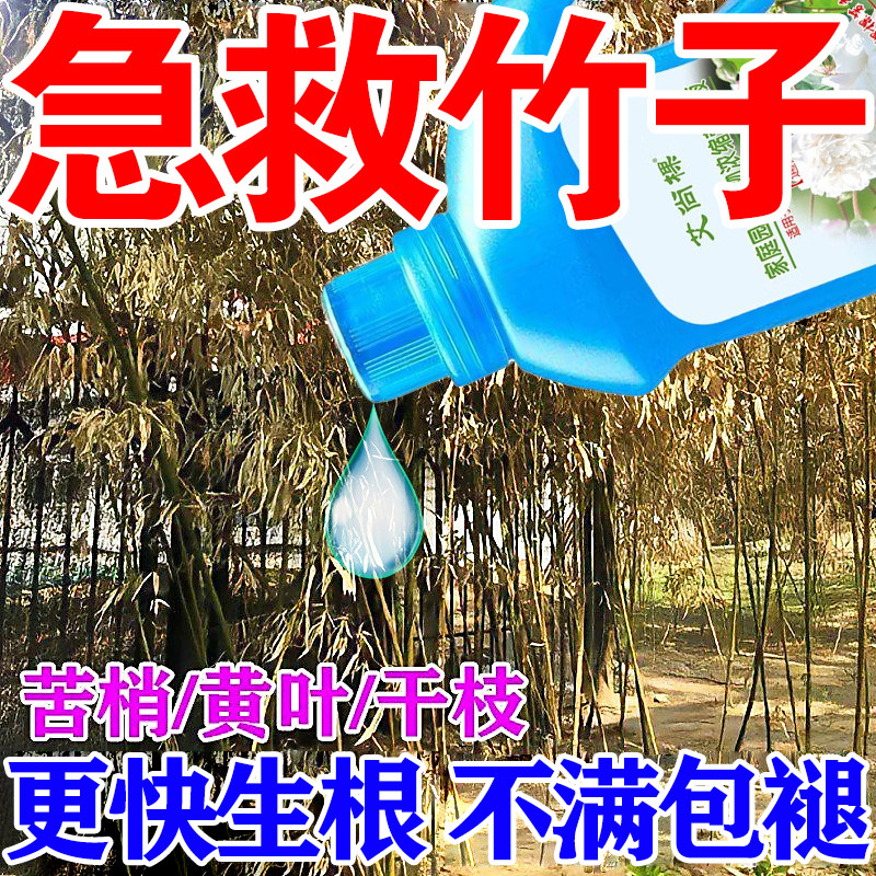 竹子专用营养液竹子专用肥料急救叶子发黄烂根竹子黄叶掉叶营养液