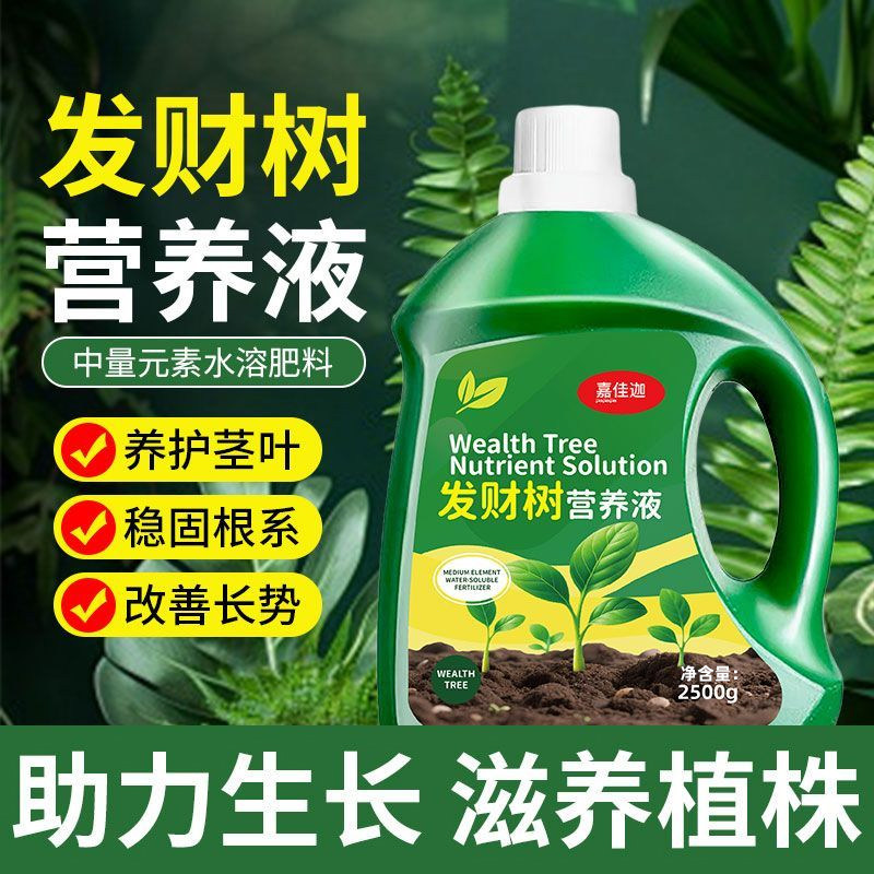 发财树专用营养液防黄叶掉叶