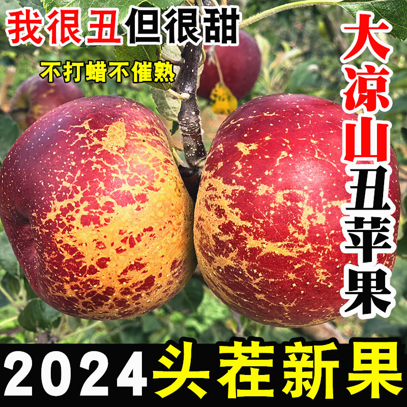 大凉山丑苹果新鲜当季孕妇水果盐源红富士冰糖心丑平果整箱包邮