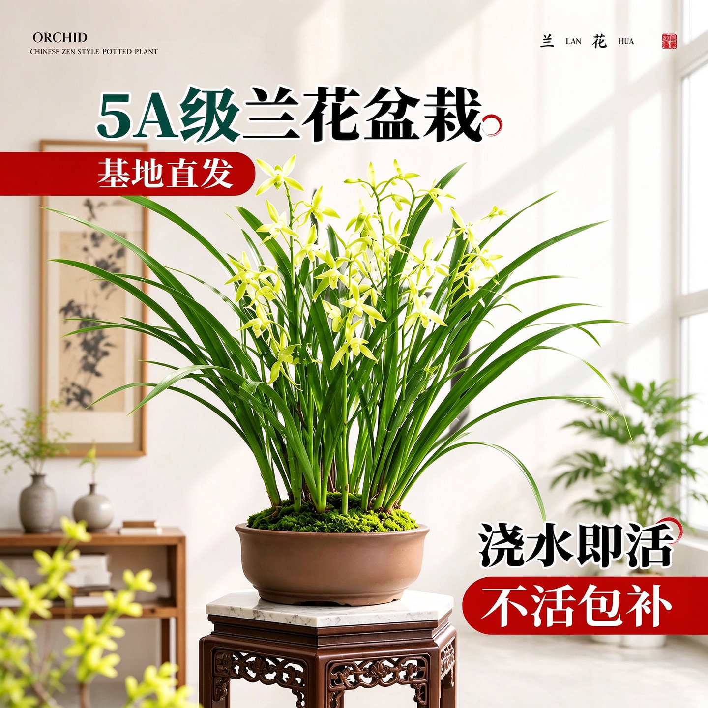 特级建兰盆栽带盆办公室客厅浓香绿植四季好养易活收到即赏