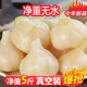 糖醋蒜5斤装 不含汤糖醋大蒜头蒜山东腌大蒜下饭火锅速食商用配菜