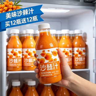 【买一送一】沙棘汁果味饮料350ml瓶装商用夏季便宜清仓特价推荐