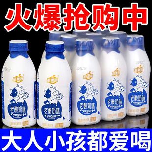 新日期老酸奶解渴饮料整箱瓶装 冲量 过年礼品厂家活动大促 冬季