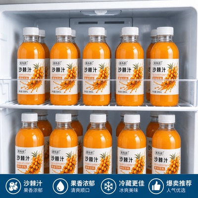 换季便宜清仓沙棘汁饮料整箱309ml酸甜解渴畅饮瓶装便携露营野餐