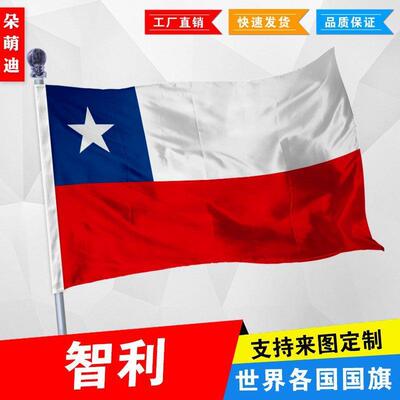 外国旗智利厂公司彩户活动