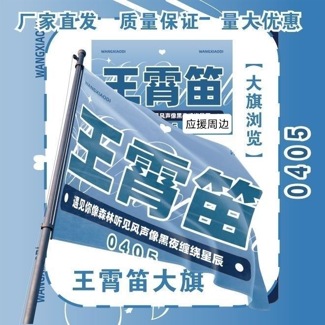 王霄迪大旗明星演唱会王霄迪应援旗户外打卡音乐节应援旗定制
