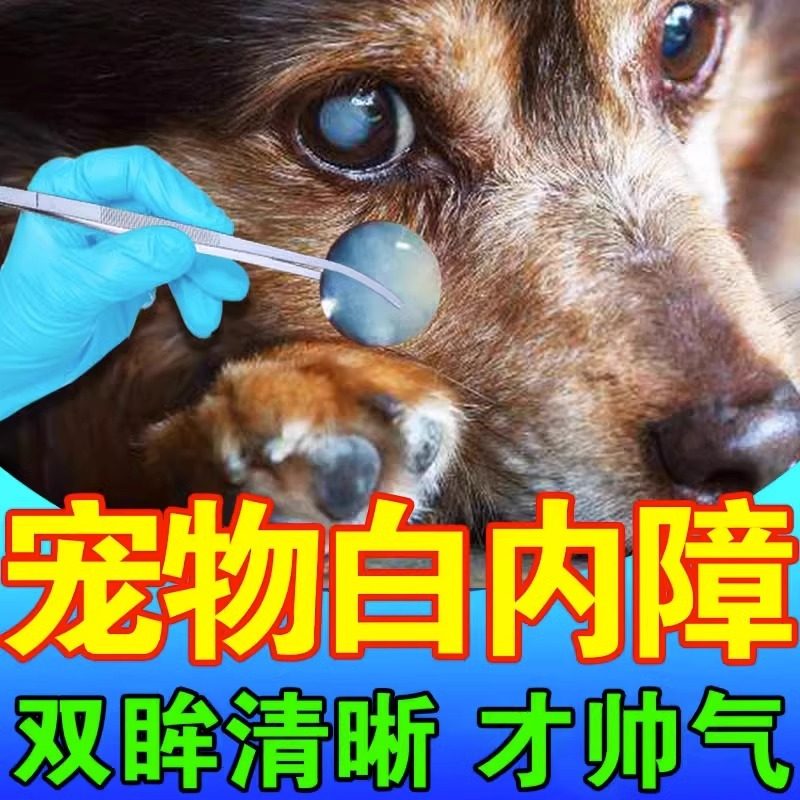 狗狗白内障专用眼药水中老年犬滴眼液宠物猫咪抑初期眼屎多去泪痕
