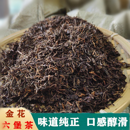广西梧州特产六堡茶金花菌花香黑茶办公室口粮茶黑茶