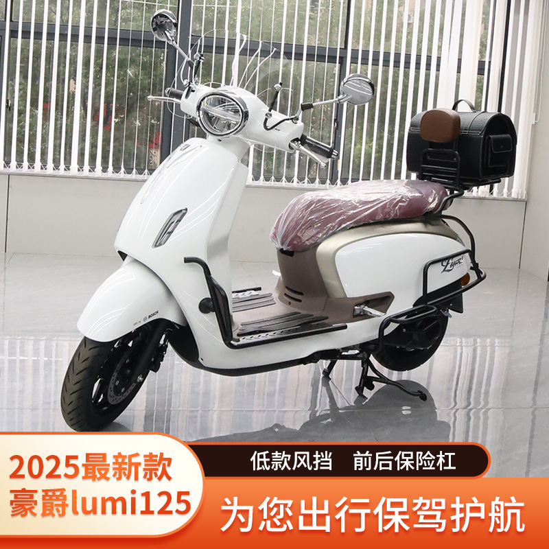 适用豪爵lumi改装件电镀银护杠保险杠靠背风挡手机支架货架后尾箱