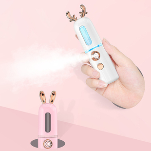 30Ml Facial Hydration Sprayer Cute Face Steamer Portable Nan