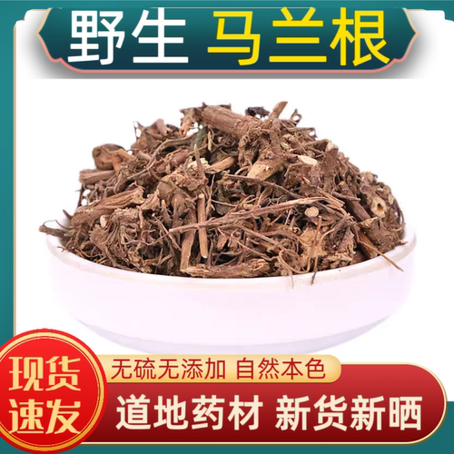宁世堂马兰根中药材马兰根正宗野生马兰草根路边菊马兰头根马蔺根