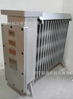 RBZ-2/127矿用隔爆兼增安型电热取暖器防爆油丁煤矿用加热电暖器