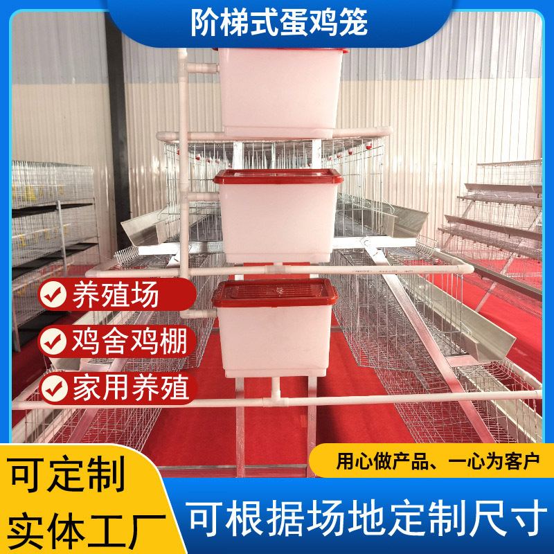 四层五层蛋鸡笼三层四门三层五门阶梯式蛋鸡笼四层四门蛋鸡笼