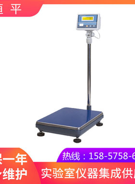 上海恒平     MP60K     大量称电子天平