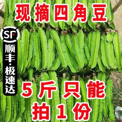 海南特产四角豆新鲜龙豆顺丰包邮