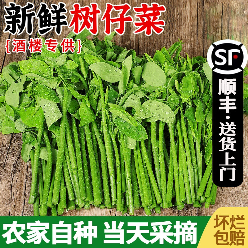 新鲜树仔菜顺丰冷链包邮坏菜包赔