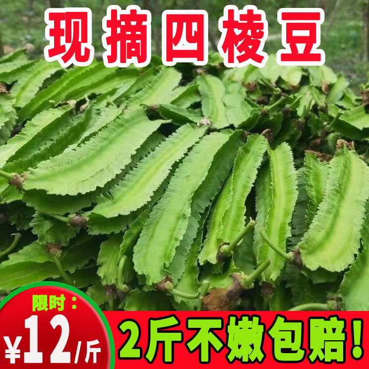 【2斤】新鲜海南四角豆角四角豆三亚四棱豆杨桃豆皇帝豆孕妇蔬菜