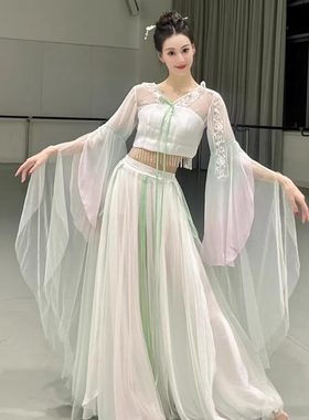 新款古典舞服装飘逸中国舞舞蹈服