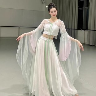 新款 飘逸中国舞舞蹈服中国舞艺考飘逸裙摆舞蹈表演服 古典舞服装