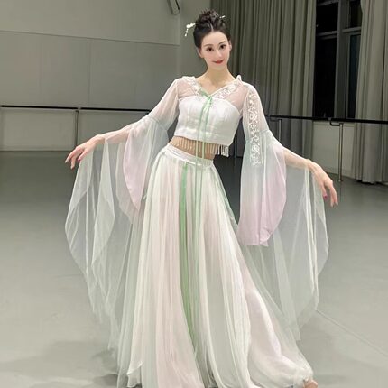 新款古典舞服装飘逸中国舞舞蹈服中国舞艺考飘逸裙摆舞蹈表演服