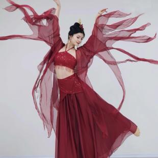 2026新款酒红色古典舞仙气演出服飘逸舞蹈服中国舞舞蹈表演服套装